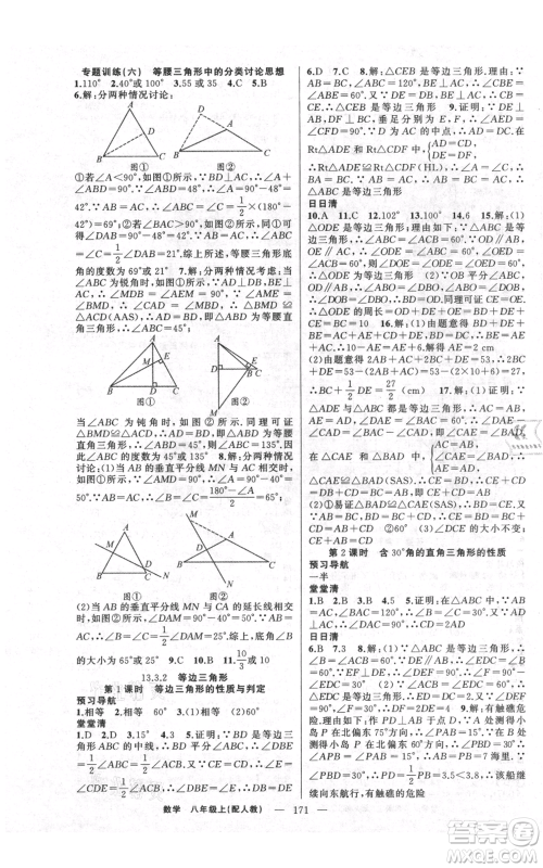 新疆青少年出版社2021四清导航八年级上册数学人教版参考答案