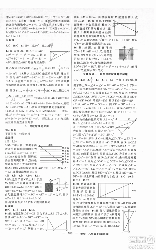 新疆青少年出版社2021四清导航八年级上册数学北师大版参考答案