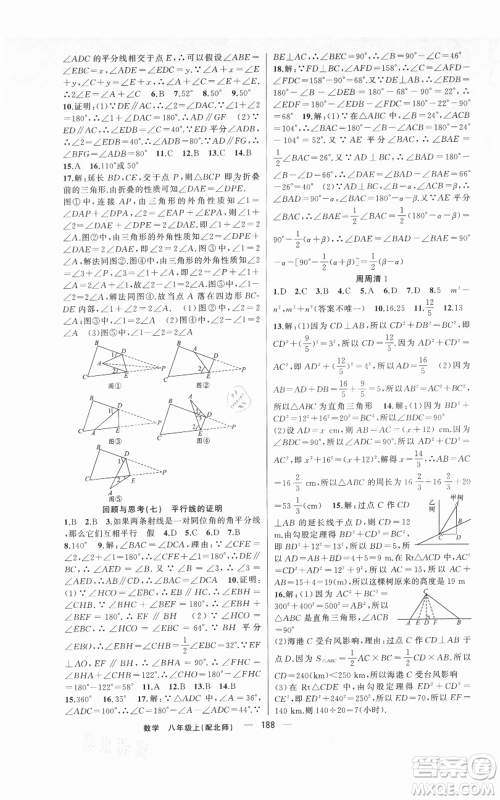 新疆青少年出版社2021四清导航八年级上册数学北师大版参考答案