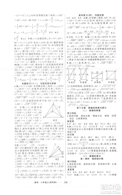 新疆青少年出版社2021四清导航八年级上册数学华师大版参考答案