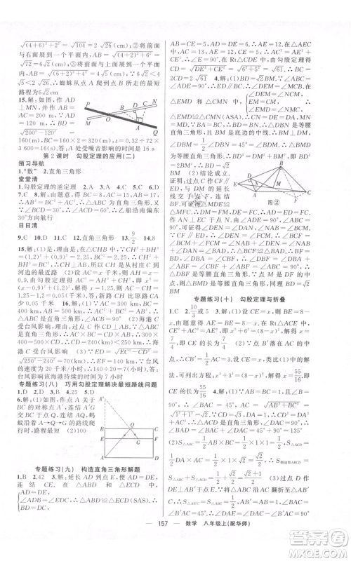 新疆青少年出版社2021四清导航八年级上册数学华师大版参考答案