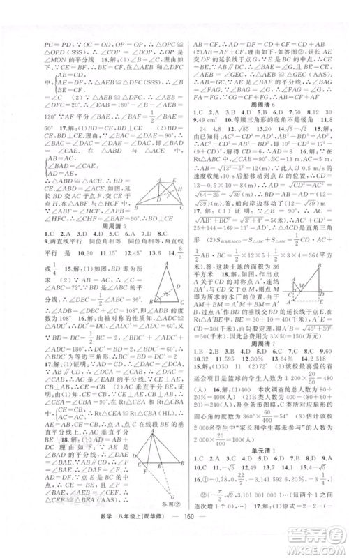 新疆青少年出版社2021四清导航八年级上册数学华师大版参考答案