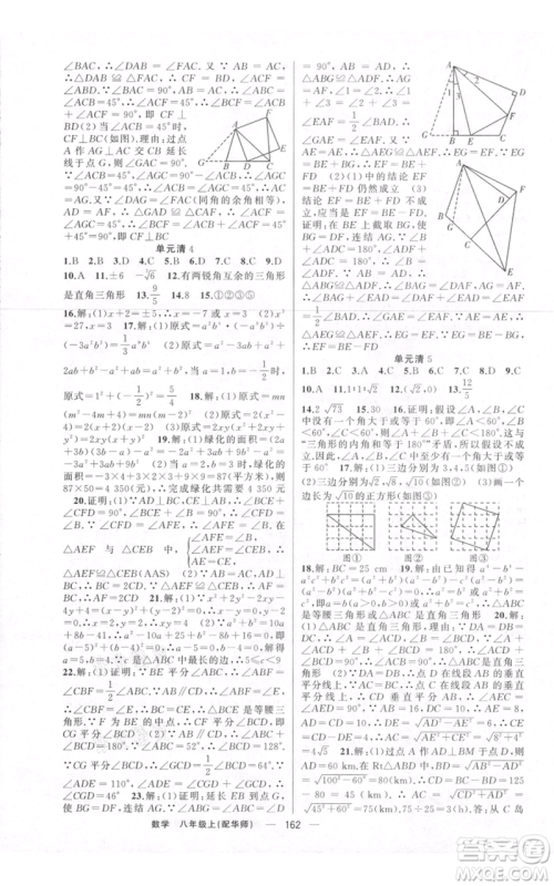 新疆青少年出版社2021四清导航八年级上册数学华师大版参考答案