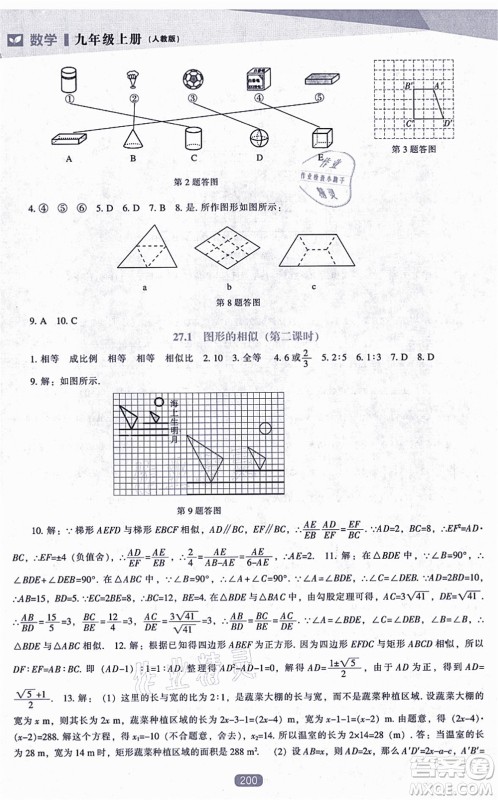 辽海出版社2021新课程数学能力培养九年级上册人教版答案 辽海出版社2021新课程数学能力培养九年级上册人教版答案