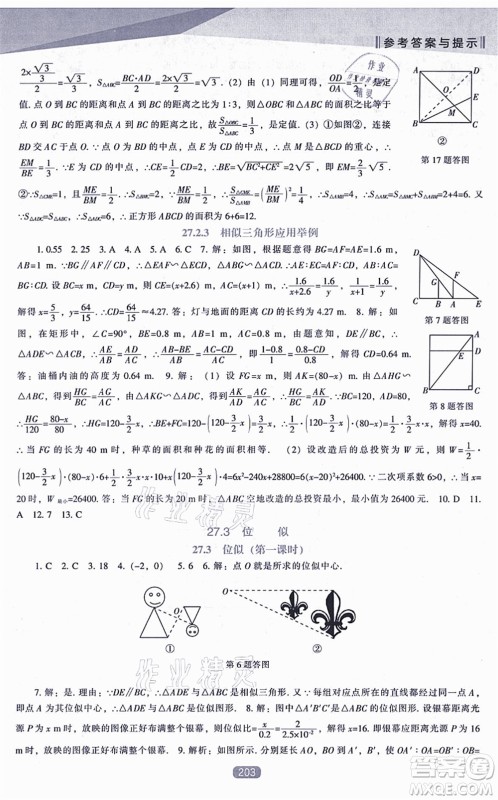 辽海出版社2021新课程数学能力培养九年级上册人教版答案 辽海出版社2021新课程数学能力培养九年级上册人教版答案