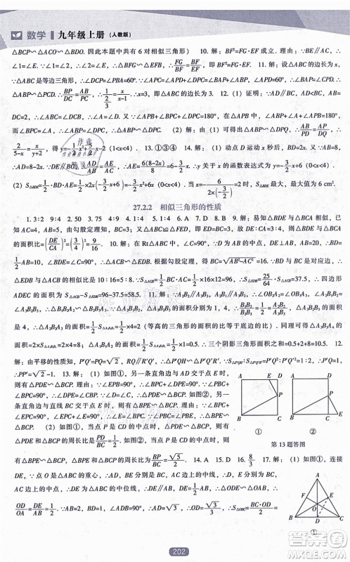 辽海出版社2021新课程数学能力培养九年级上册人教版答案 辽海出版社2021新课程数学能力培养九年级上册人教版答案