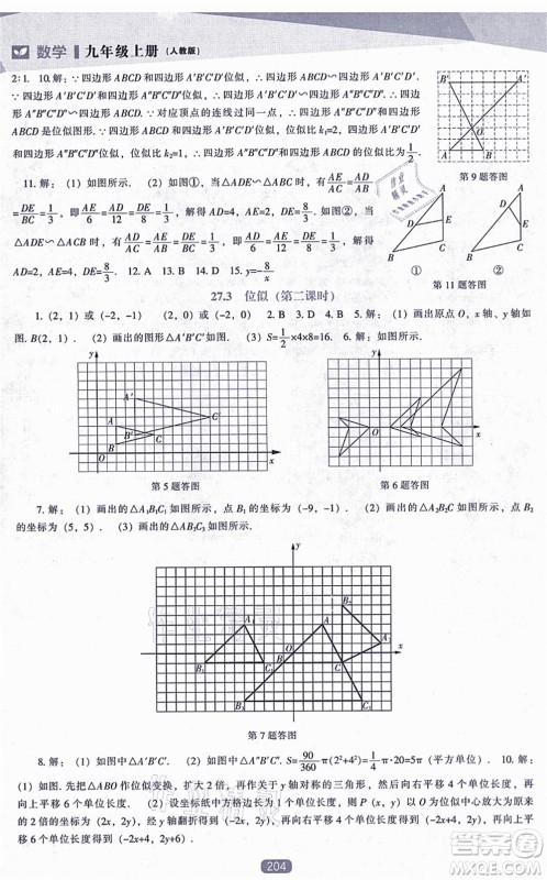 辽海出版社2021新课程数学能力培养九年级上册人教版答案