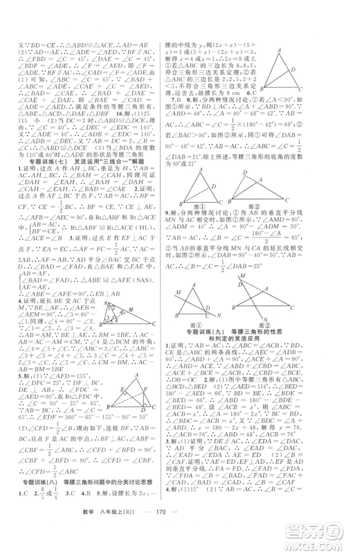 新疆青少年出版社2021四清导航八年级上册数学人教版河南专版参考答案