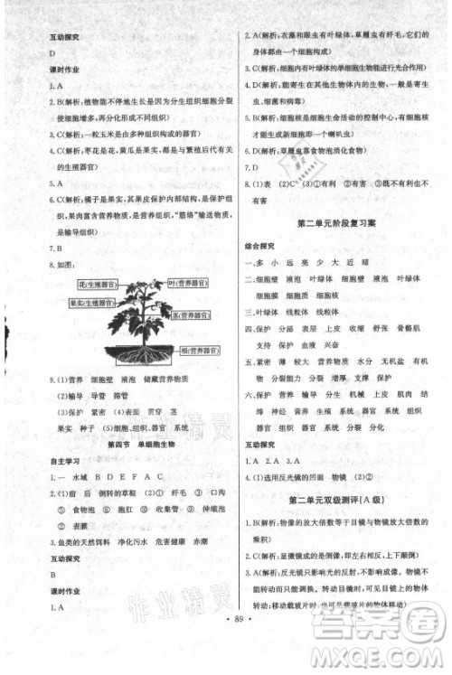 崇文书局社2021长江全能学案同步练习册生物学七年级上册人教版答案