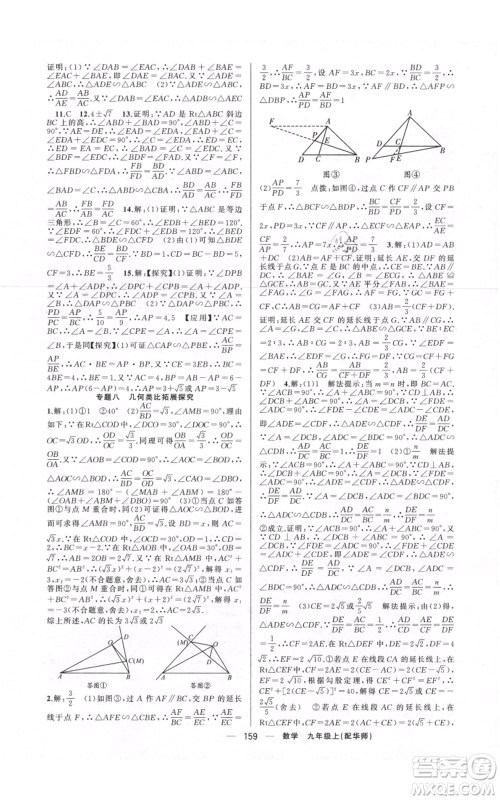 新疆青少年出版社2021四清导航九年级上册数学华师大版参考答案