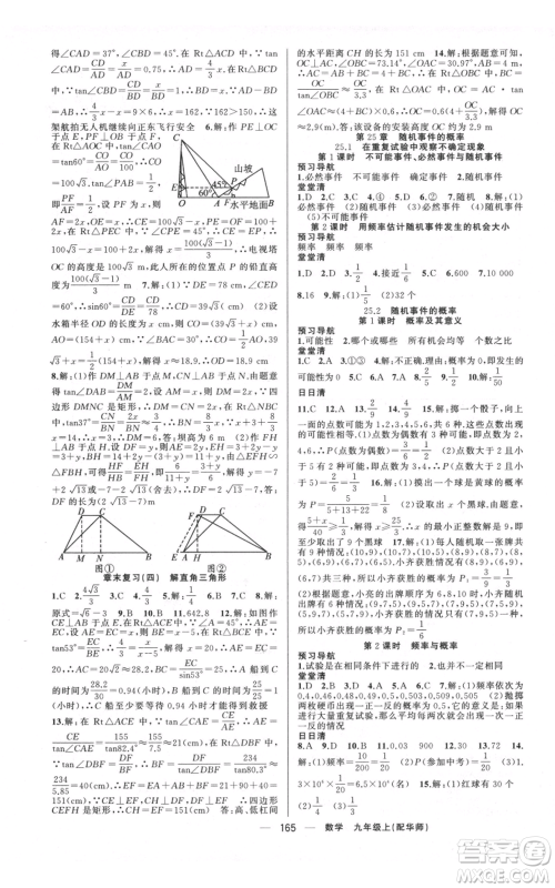 新疆青少年出版社2021四清导航九年级上册数学华师大版参考答案