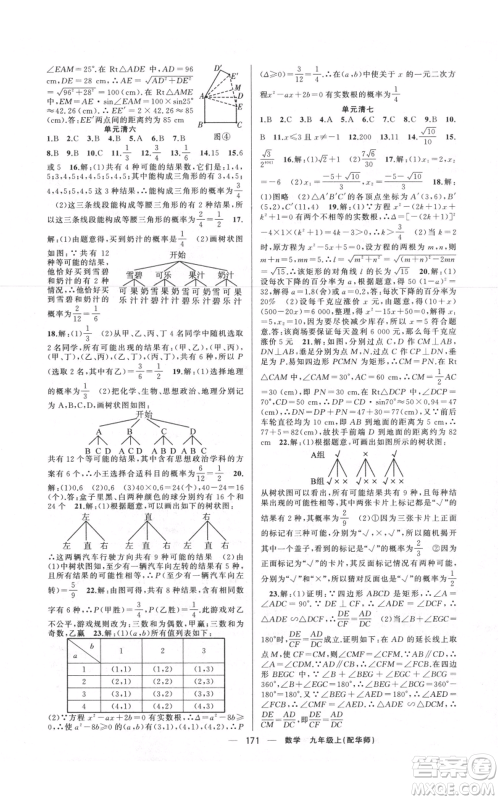 新疆青少年出版社2021四清导航九年级上册数学华师大版参考答案