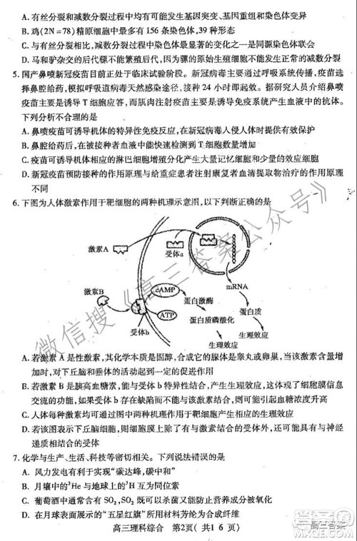 平顶山2022届高三年级阶段性检测理科综合试题及答案