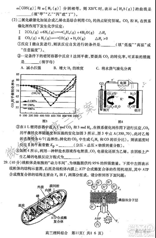 平顶山2022届高三年级阶段性检测理科综合试题及答案