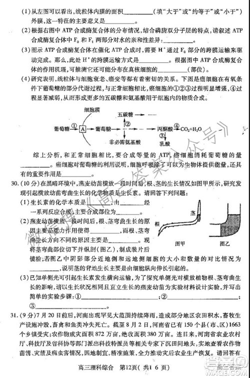 平顶山2022届高三年级阶段性检测理科综合试题及答案