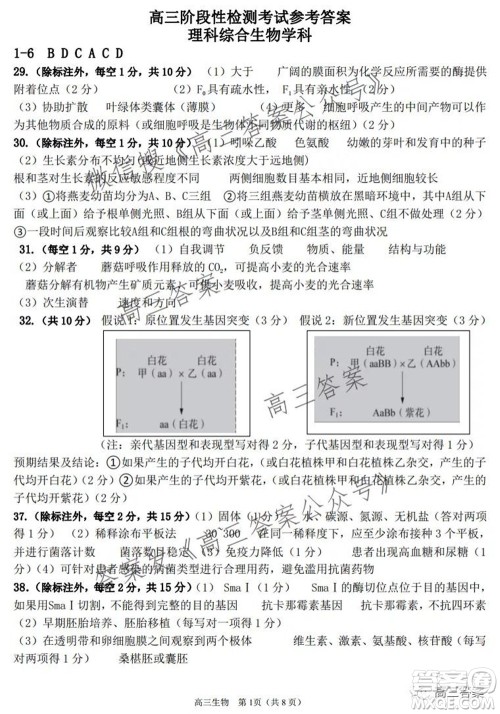 平顶山2022届高三年级阶段性检测理科综合试题及答案