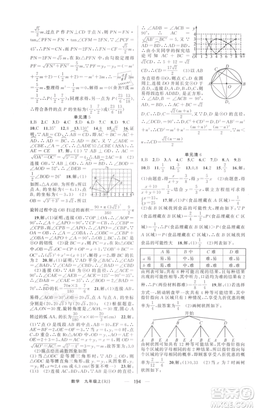 新疆青少年出版社2021四清导航九年级上册数学人教版河南专版参考答案 新疆青少年出版社2021四清导航九年级上册数学人教版河南专版参考答案