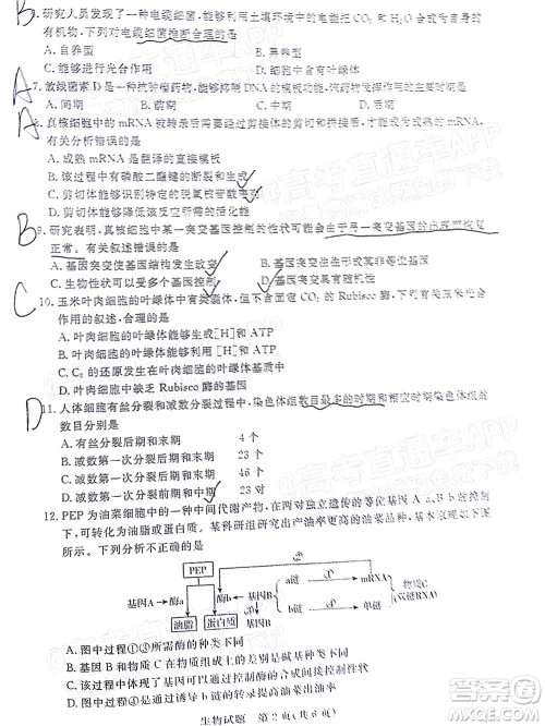 肇庆市2022届高中毕业班第一次统一检测生物试题及答案