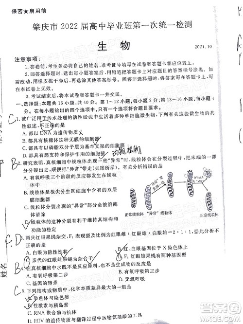 肇庆市2022届高中毕业班第一次统一检测生物试题及答案