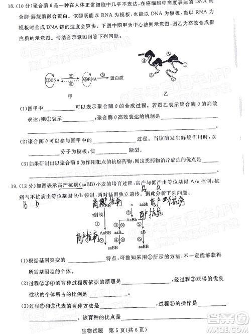 肇庆市2022届高中毕业班第一次统一检测生物试题及答案