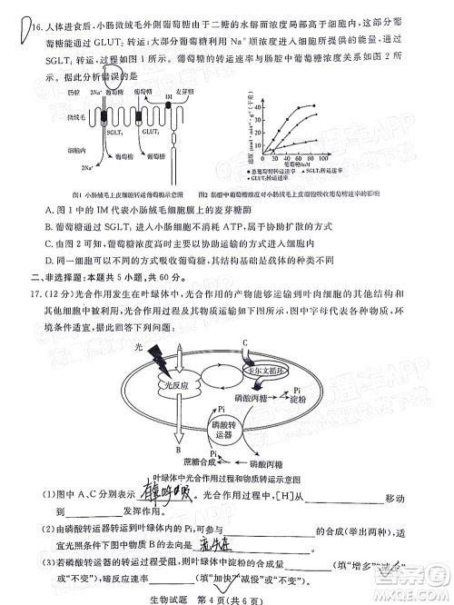 肇庆市2022届高中毕业班第一次统一检测生物试题及答案 肇庆市2022届高中毕业班第一次统一检测生物试题及答案