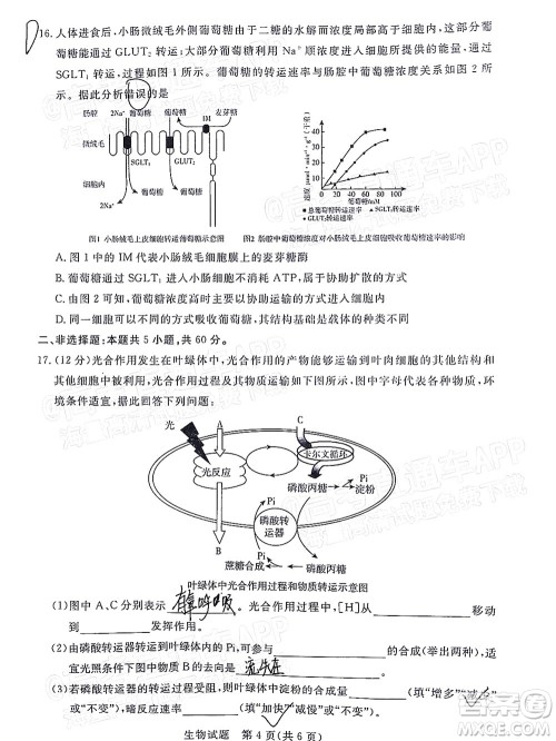 肇庆市2022届高中毕业班第一次统一检测生物试题及答案