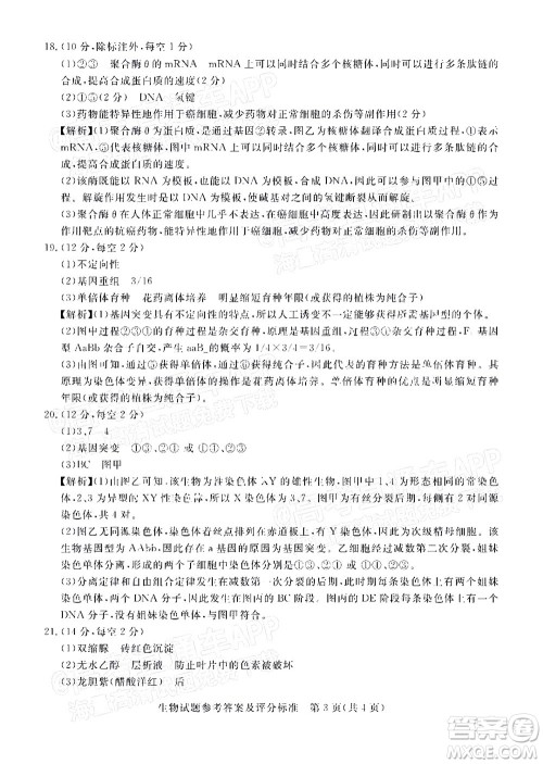 肇庆市2022届高中毕业班第一次统一检测生物试题及答案 肇庆市2022届高中毕业班第一次统一检测生物试题及答案