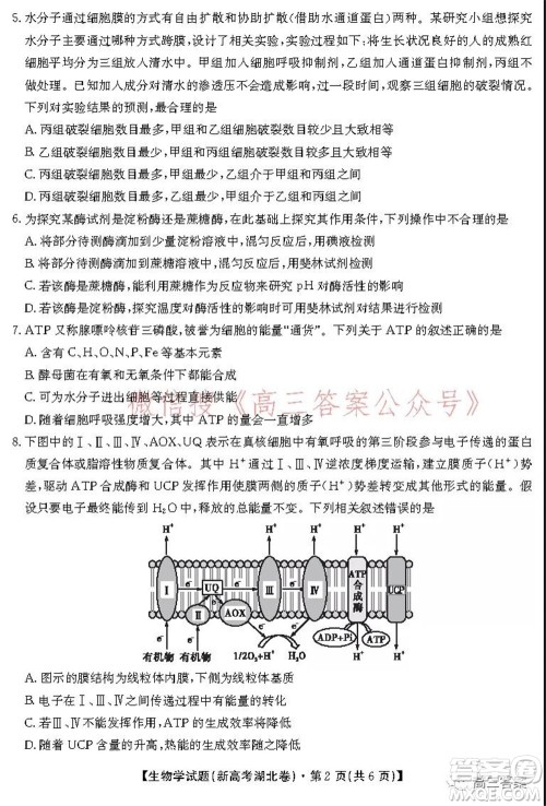 名校教研联盟2021年10月高三联考生物学试题及答案