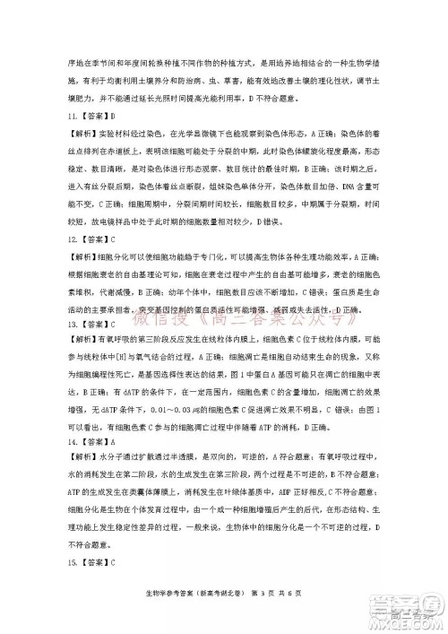 名校教研联盟2021年10月高三联考生物学试题及答案