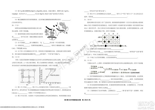 银川一中2022届高三年级第三次月考理科综合试卷及答案