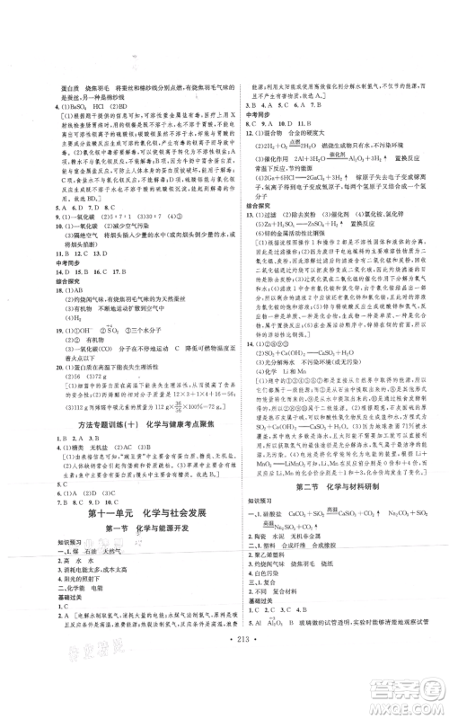 河北人民出版社2021思路教练同步课时作业九年级化学鲁教版参考答案