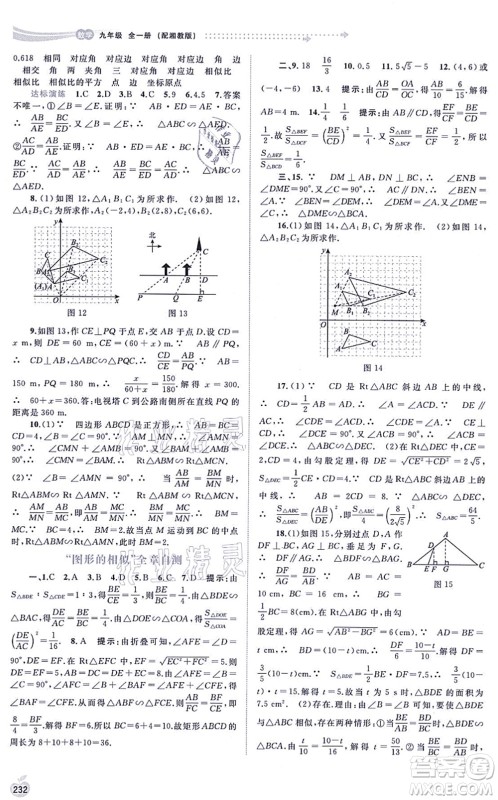 广西教育出版社2021新课程学习与测评同步学习九年级数学全一册湘教版答案