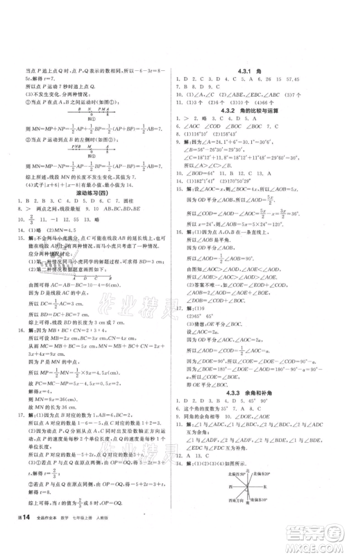 阳光出版社2021全品作业本七年级上册数学人教版参考答案