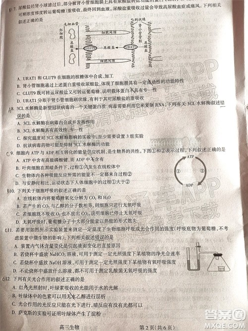 吕梁市2021年11月高三阶段性测试生物试题及答案