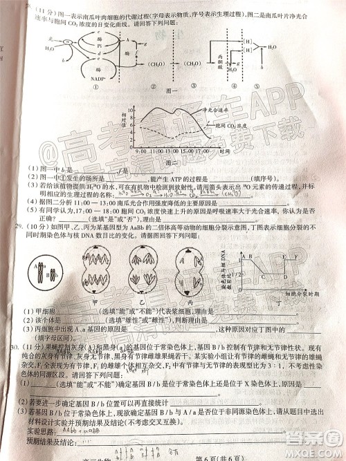 吕梁市2021年11月高三阶段性测试生物试题及答案