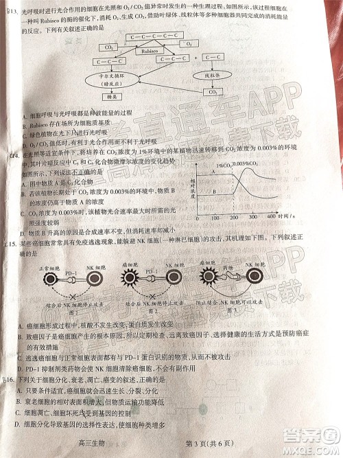 吕梁市2021年11月高三阶段性测试生物试题及答案