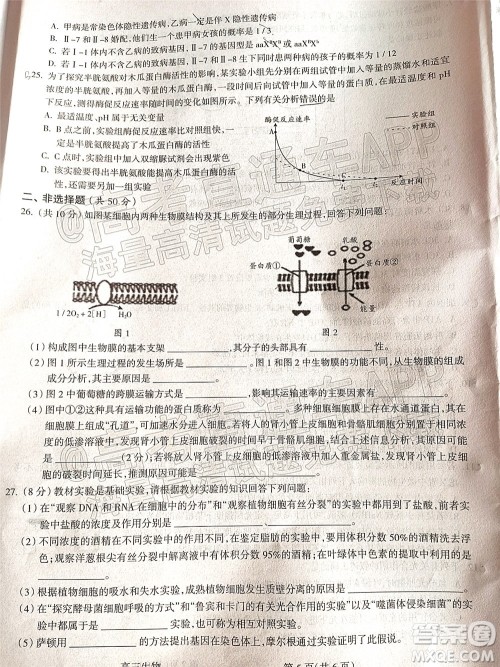 吕梁市2021年11月高三阶段性测试生物试题及答案