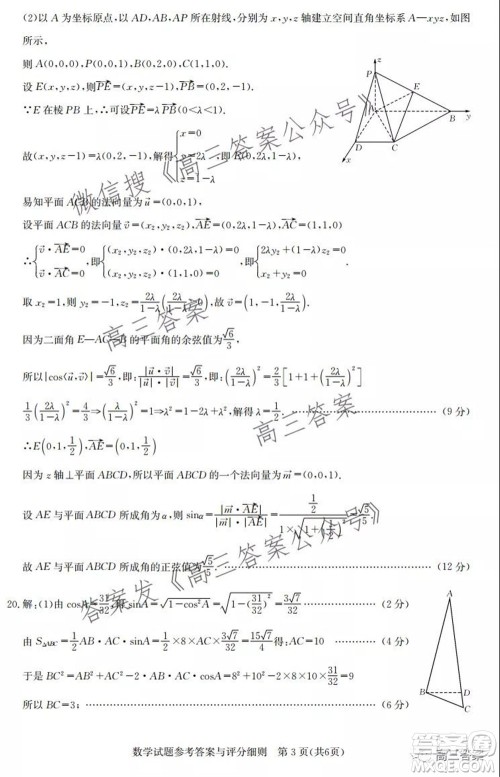 湖北省部分重点中学2022届高三第一次联考数学试题及答案