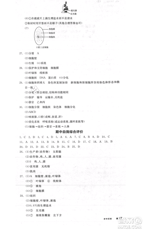 阳光出版社2021全品作业本七年级上册生物人教版参考答案