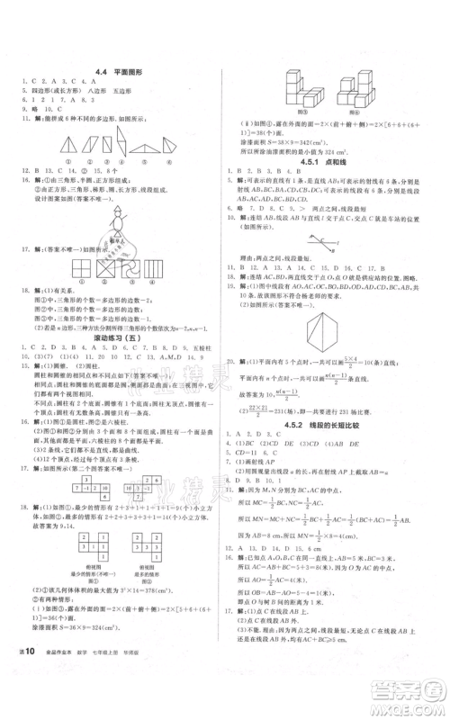 阳光出版社2021全品作业本七年级上册数学华师大版参考答案