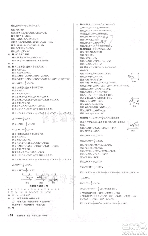 阳光出版社2021全品作业本七年级上册数学华师大版参考答案