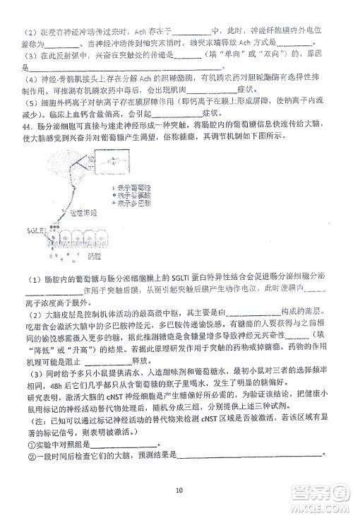 哈三中2021-2022学年度上学期高二学年10月阶段性测试生物试卷及答案