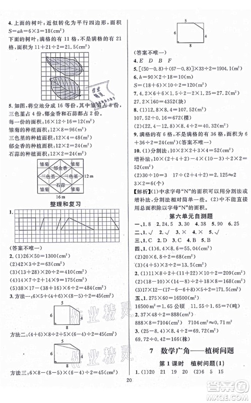 华东师范大学出版社2021一课一练五年级数学上册人教版A版答案