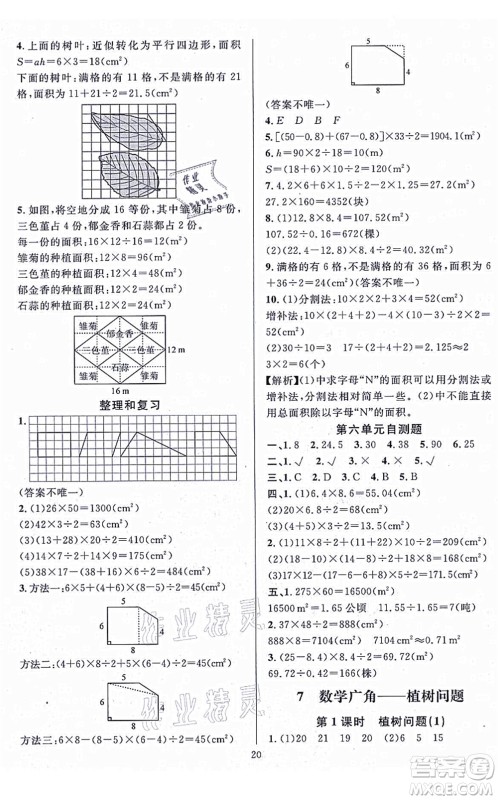 华东师范大学出版社2021一课一练五年级数学上册人教版A版答案