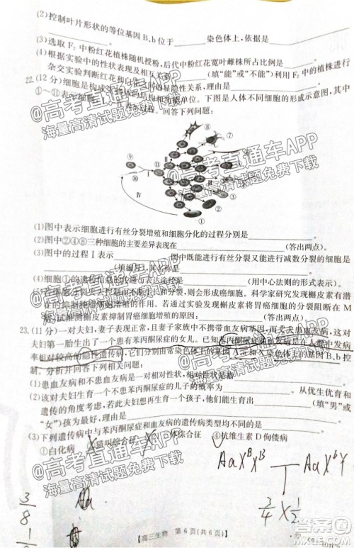 河北2021-2022学年高三年级上学期期中考试生物试题及答案 河北2021-2022学年高三年级上学期期中考试生物试题及答案