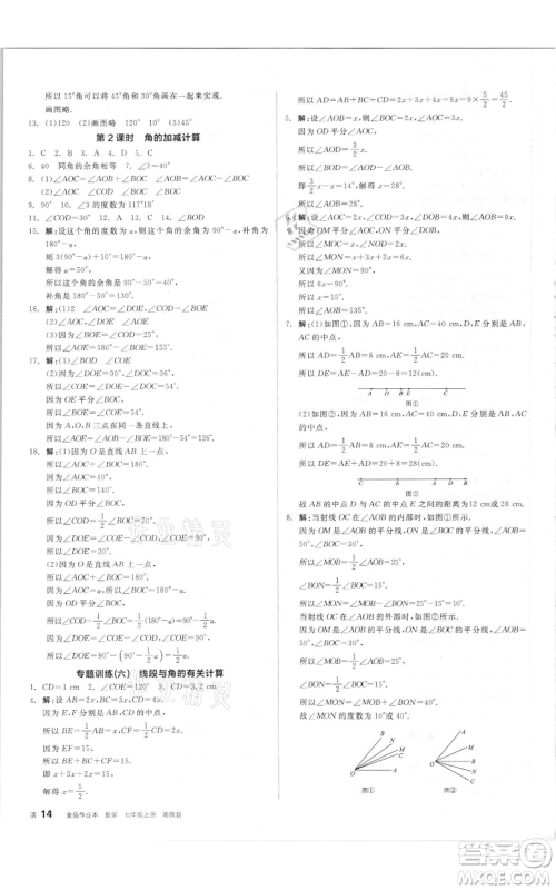 阳光出版社2021全品作业本七年级上册数学湘教版参考答案