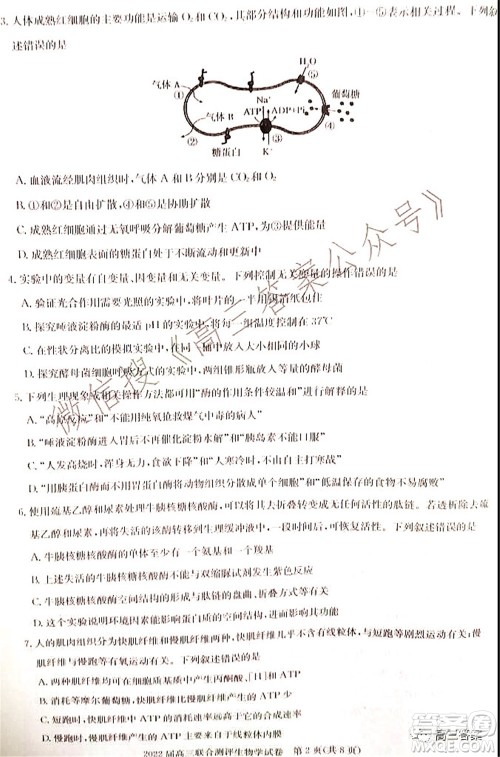 湖北省部分重点中学2022届高三第一次联考生物试题及答案 湖北省部分重点中学2022届高三第一次联考生物试题及答案