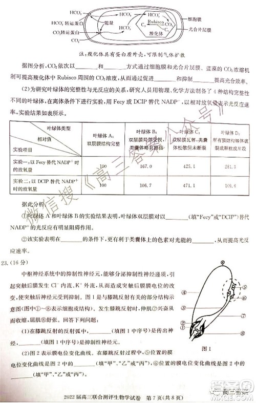 湖北省部分重点中学2022届高三第一次联考生物试题及答案