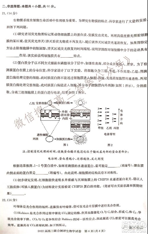 湖北省部分重点中学2022届高三第一次联考生物试题及答案