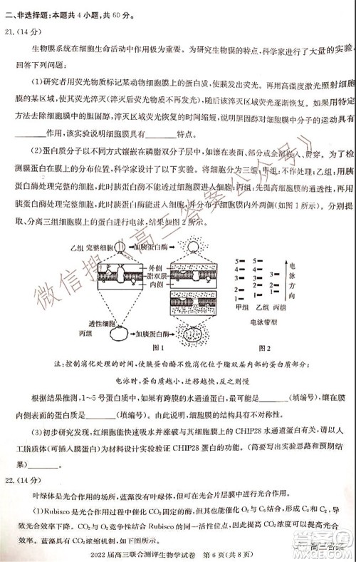 湖北省部分重点中学2022届高三第一次联考生物试题及答案 湖北省部分重点中学2022届高三第一次联考生物试题及答案